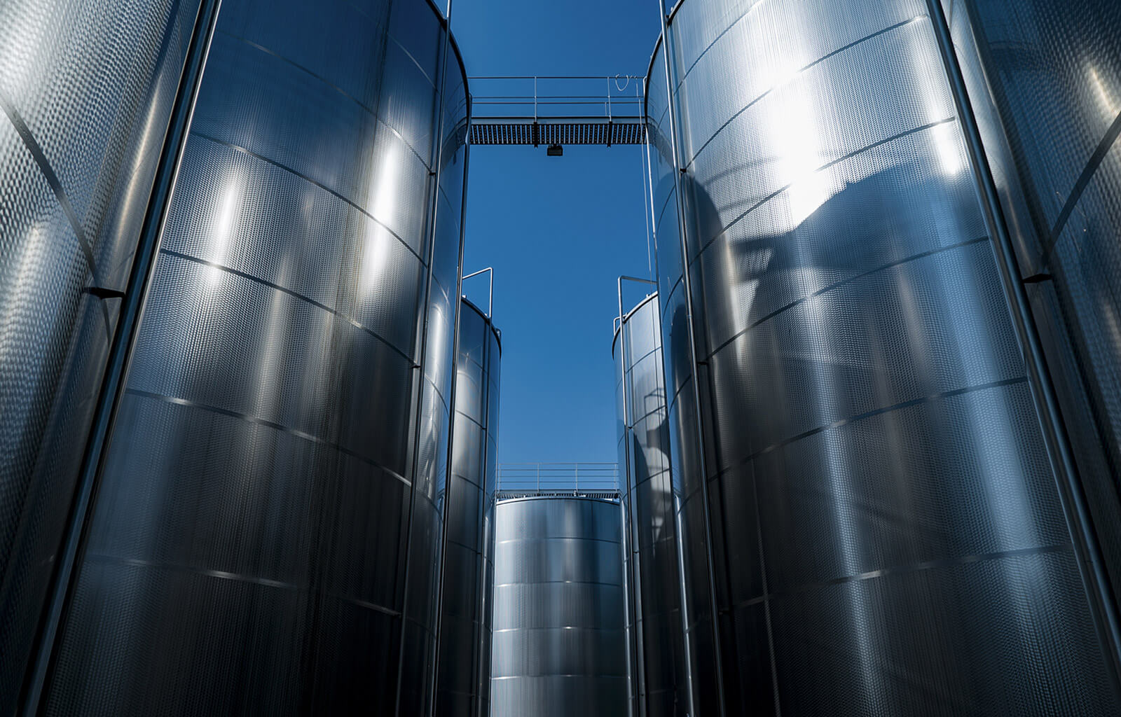 Herstellung und Verkauf von Weinen und Konzentrierte Moste