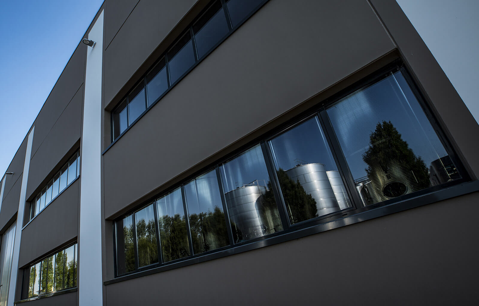 Weinproduktion und Mosti Concentrati | Spallanzani Vini