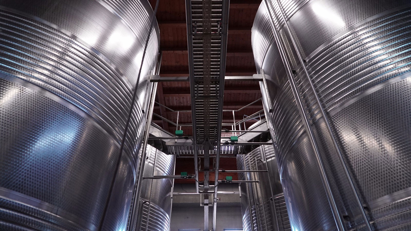 Spallanzani Vini: Weinproduktion und Mosti Concentrati